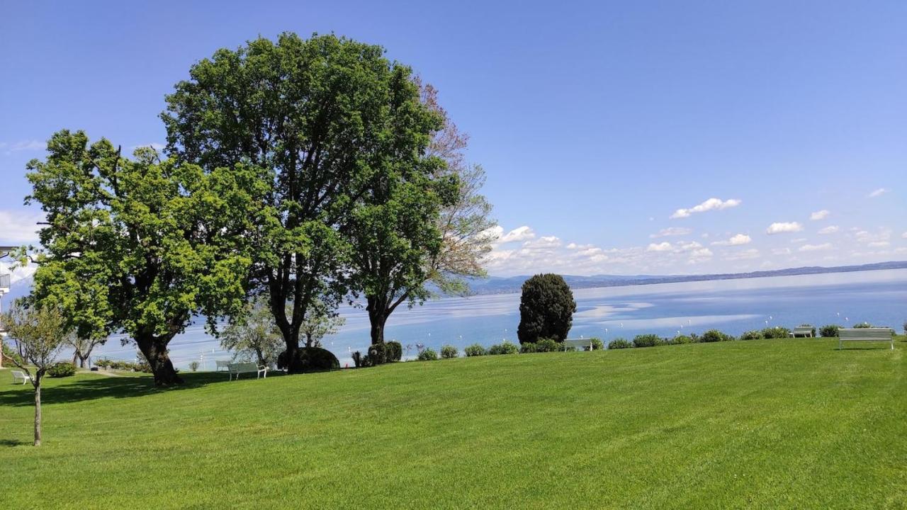 Front Lake Amazing View Manerba del Garda Esterno foto