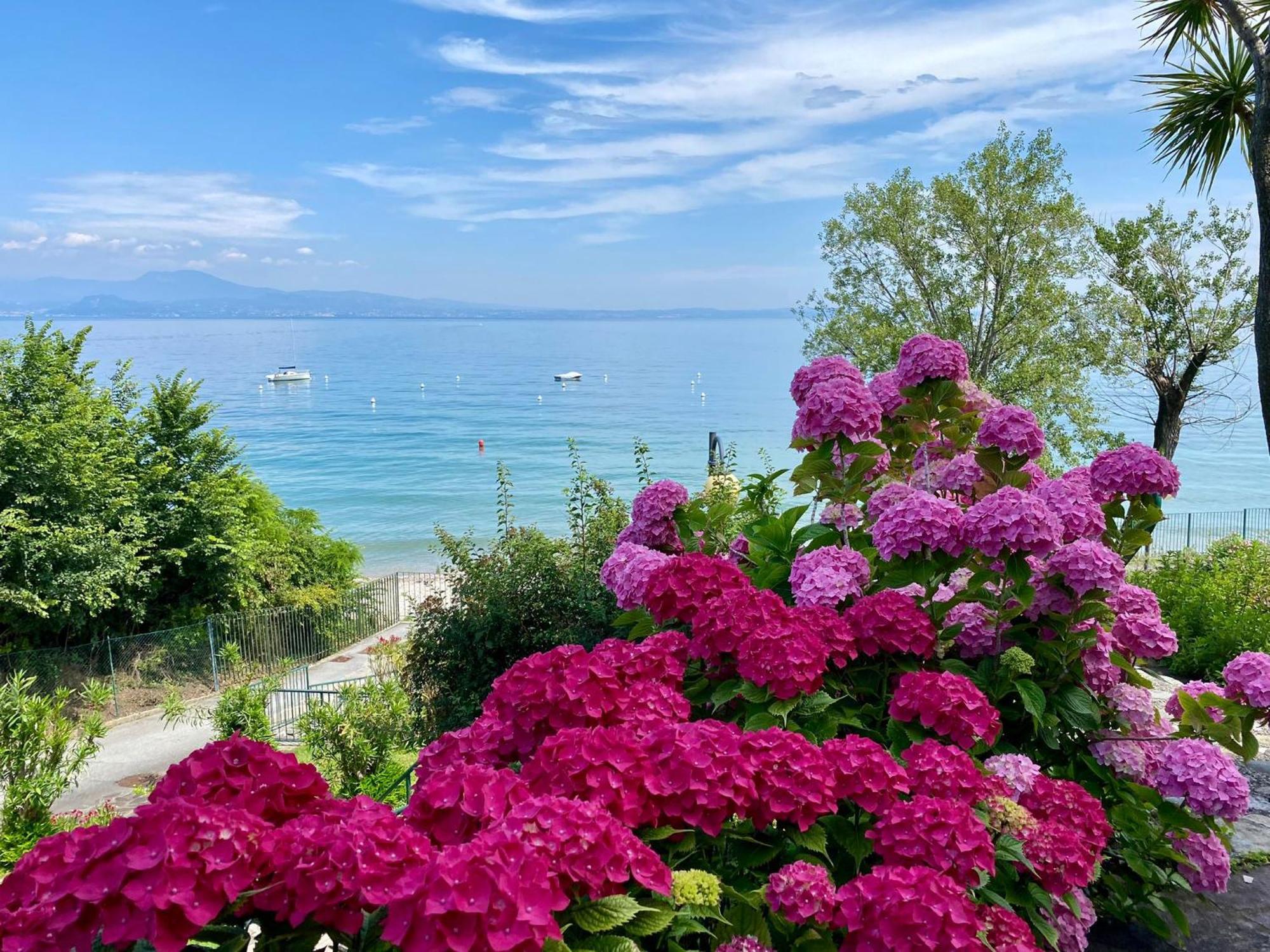 Front Lake Amazing View Manerba del Garda Esterno foto